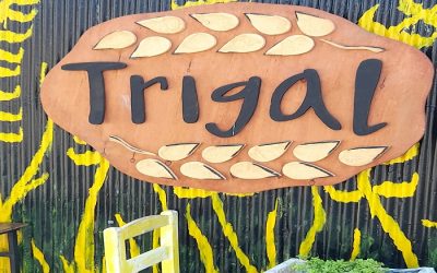 Un “trigal” en el cerro Artillería